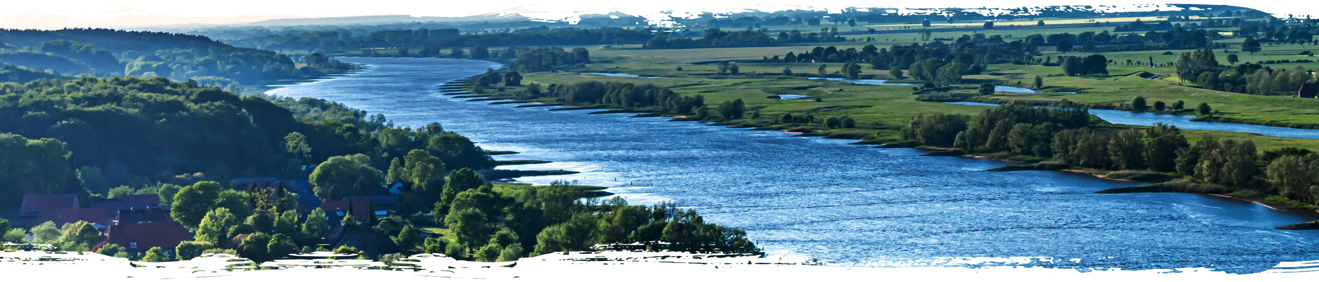 Die Elbe aus der Luft fotografiert durchzieht das Land mit vielen Bäumen.