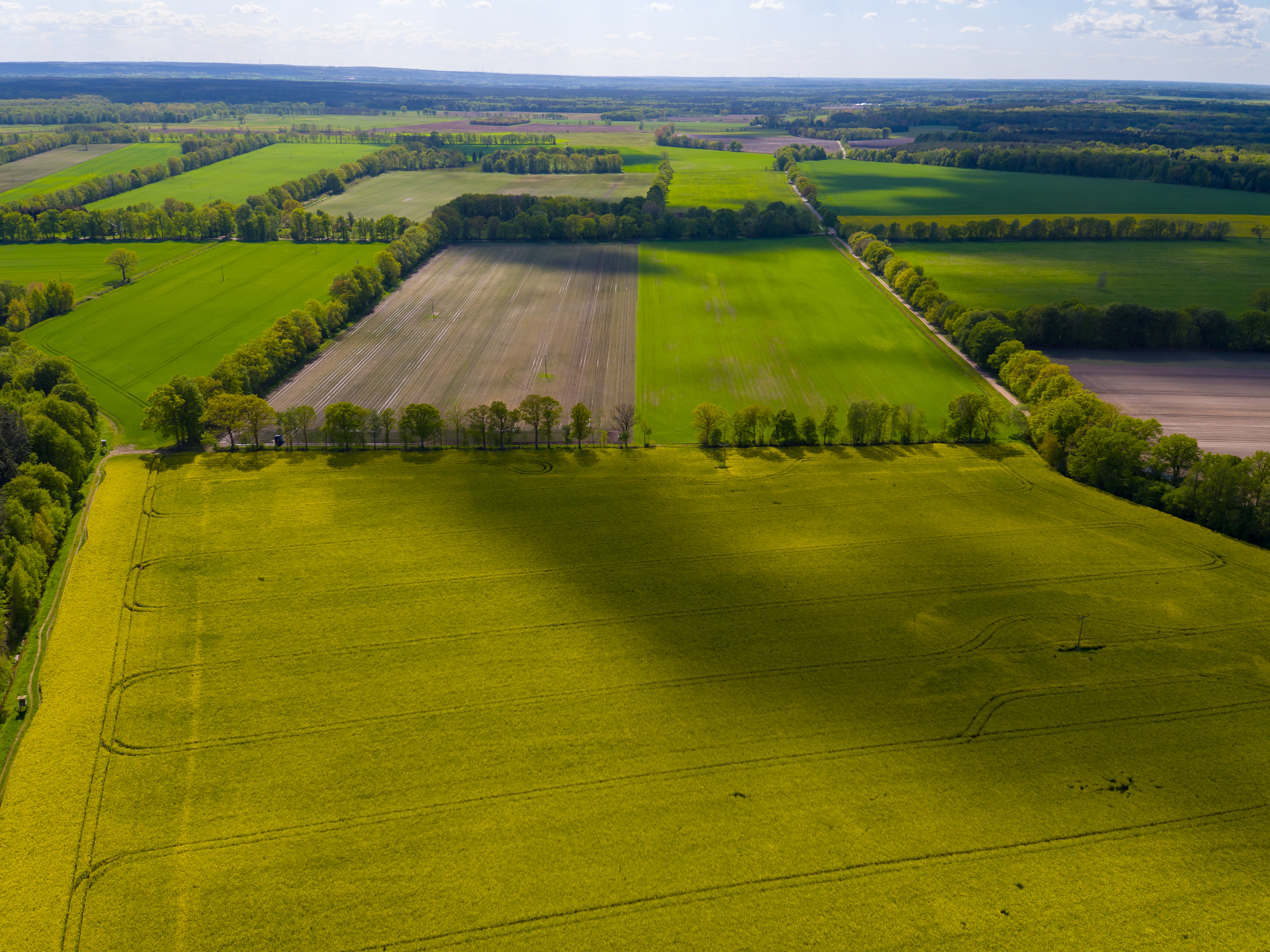 Felder aus der Luft fotografiert.